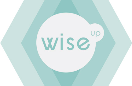 WISE UP: 2012 Graduating Art Student Exhibition