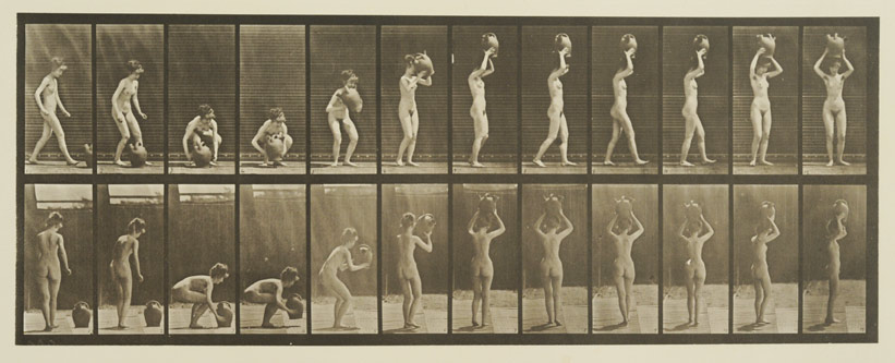 Muybridge: Science as Art and Art as Scientific Study