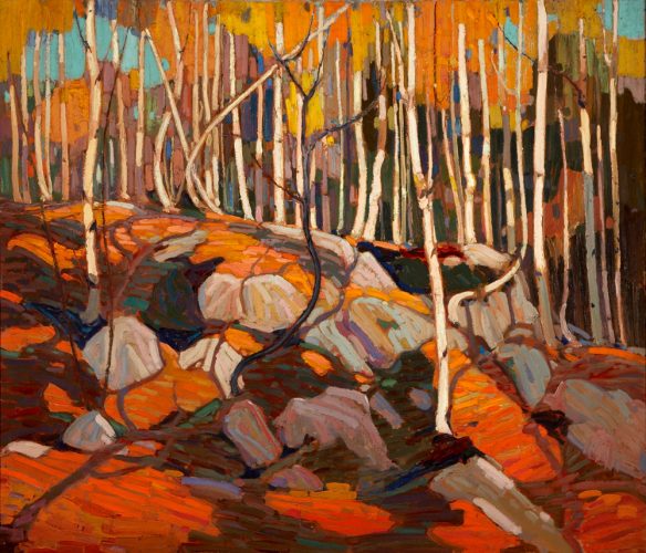 Tom Thomson (Canadian 1877 – 1917) The Birch Grove, Autumn, 1915–16, oil on canvas. Art Gallery of Hamilton. Gift of Roy Cole in memory of his parents, Matthew and Annie Bell Gilmore Cole, 1967. In Struck by Likening Exhibition at McMaster Museum of Art, 2017