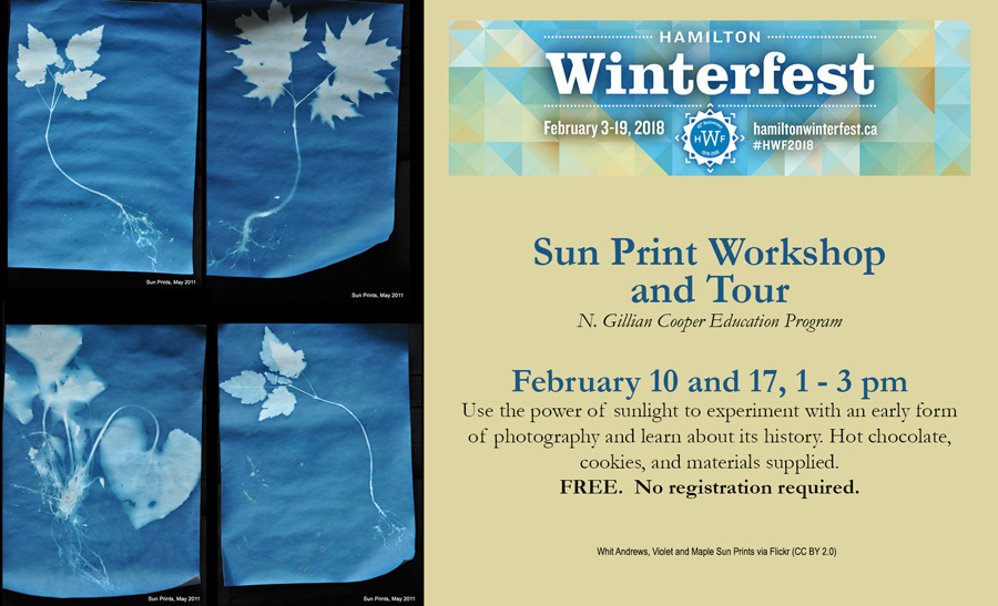 Winterfest: Sun Print Workshop & Gallery Tour