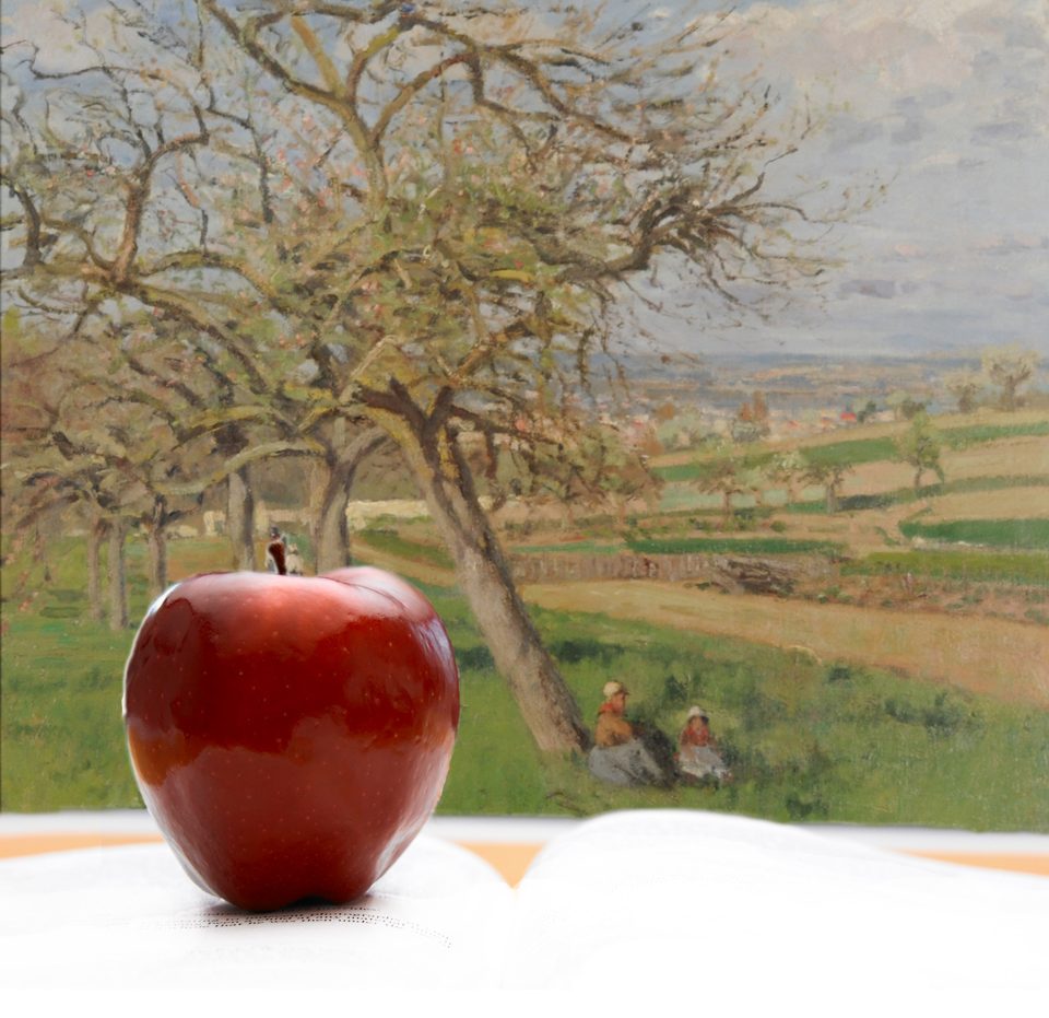 apple on book in front of Pissarro painting