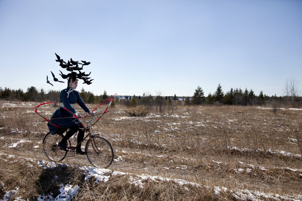 Photograph of a person on a bike in a field with a series of black birds on their head
