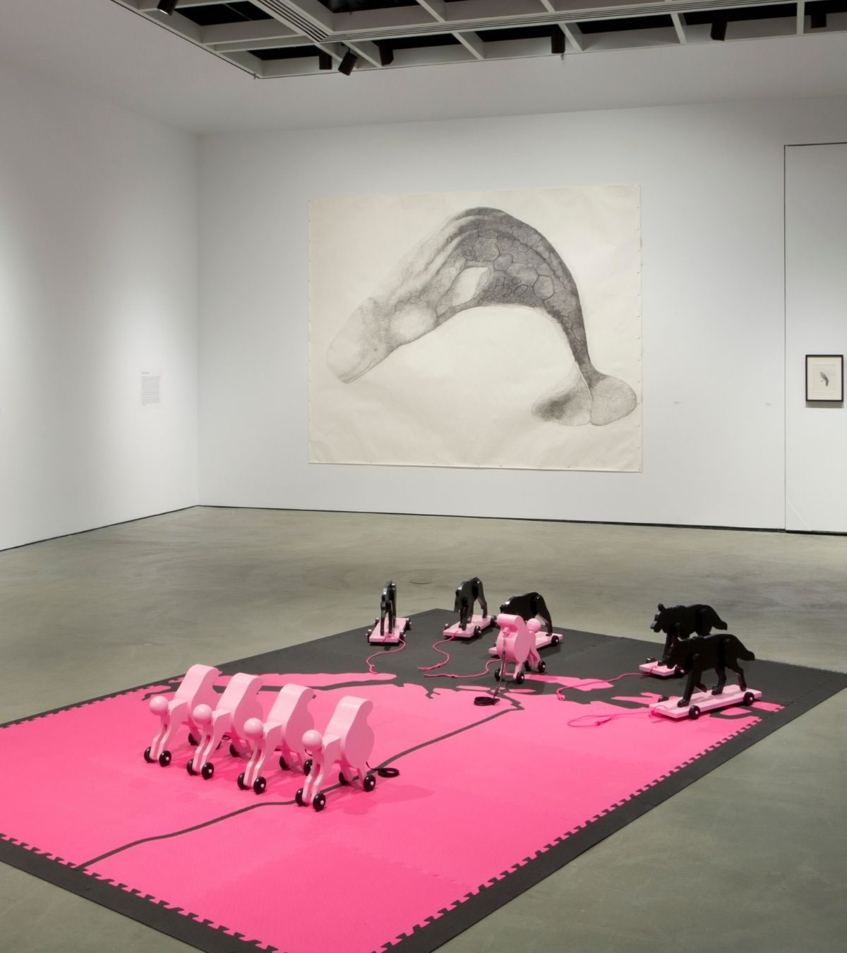 Animals Across Discipline, Time & Space installation view