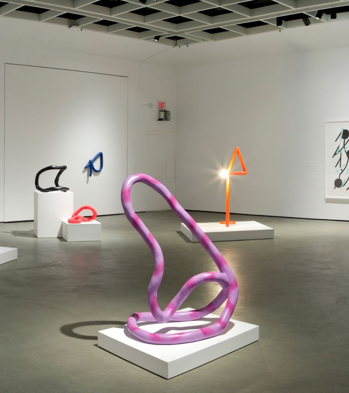 Jaime Angelopoulos installation view