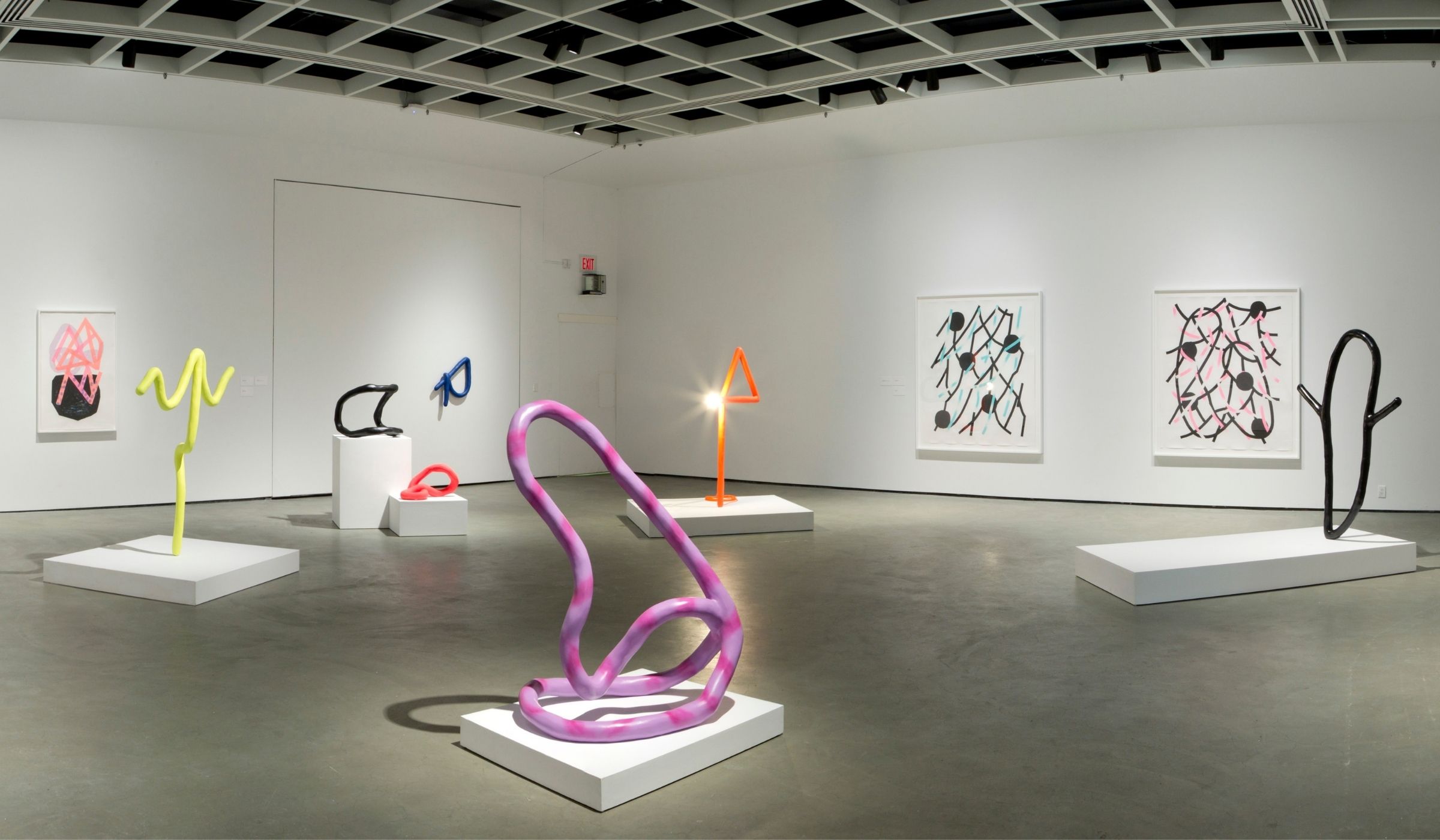 Jaime Angelopoulos installation view