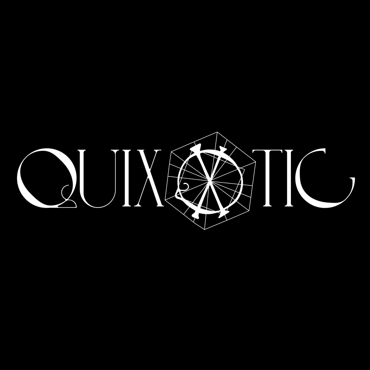 white quixotic logo on black background