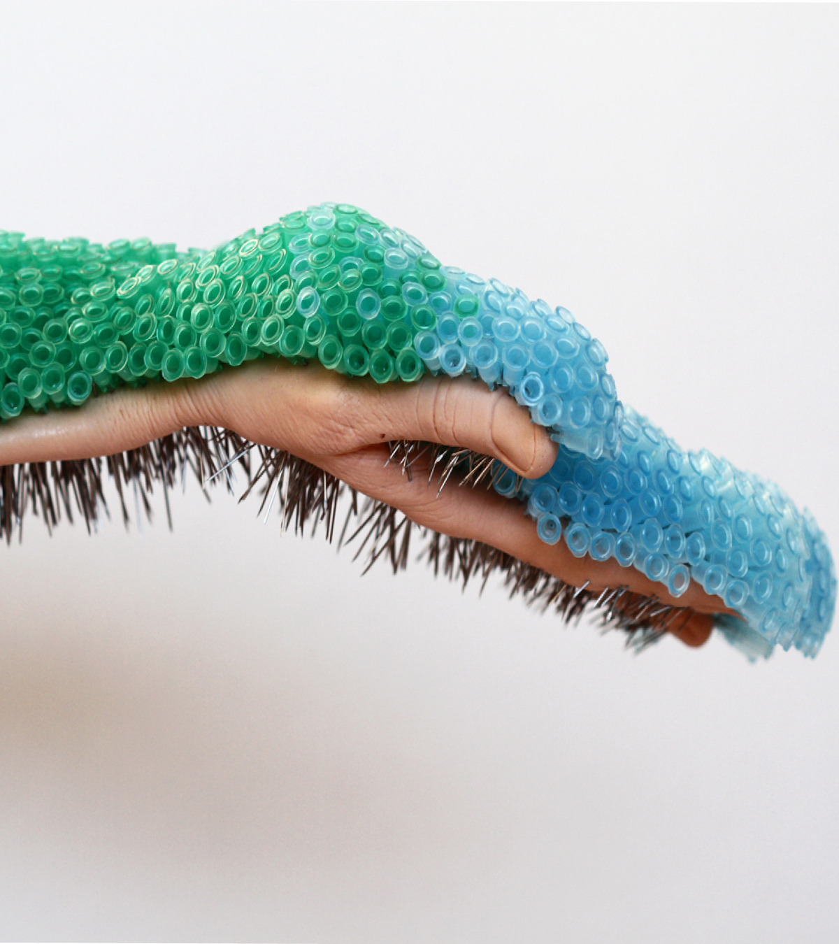 Hand extended horizontally across a plain background, holding hundreds of green and blue needles