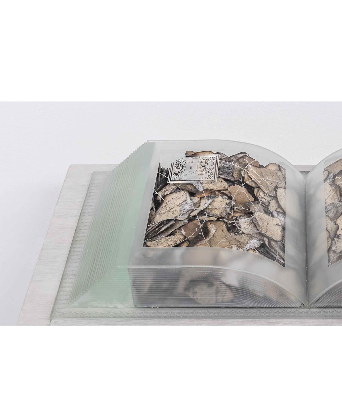 A clear plastic book is spread open, with what appears to be shavings of beige, brown, and grey rock embedded under the pages. At the top left of the page is a clear embossed letter L.