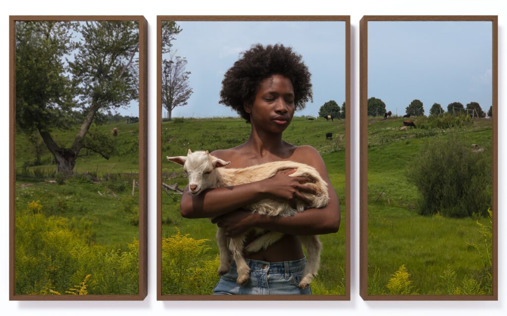 A triptych photograph. In the middle panel a Black perosn is shown with their eyes wearing jeans and holding a small goat. The background and adjacent two panels show a rolling green hill landscape and blue sky.