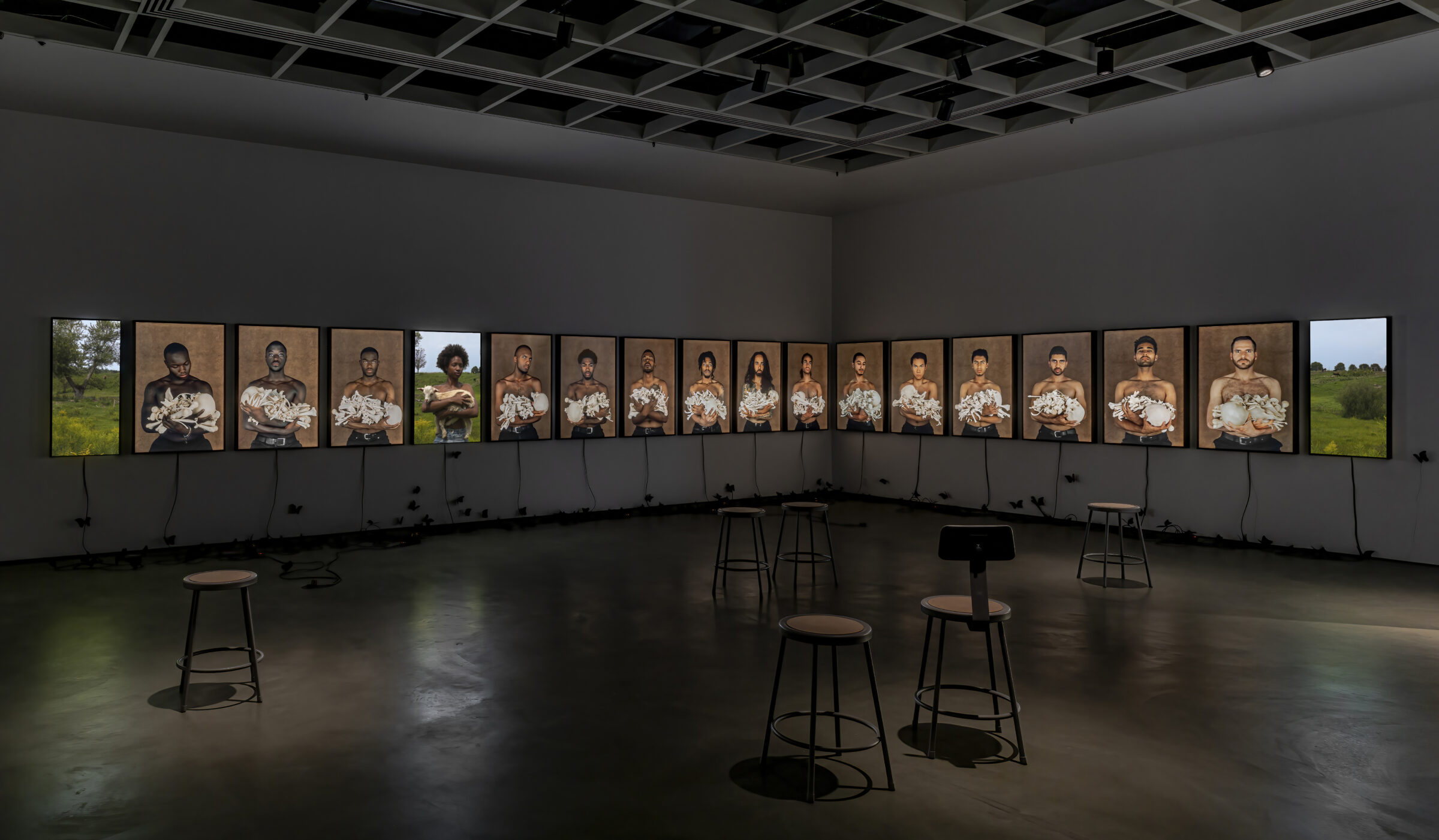 Installation view of Scapegoat - a series of light boxes are affixed to a wall with photographs of young men cradling a set of bones. In the foreground are stools scattered throughout the exhibition space.