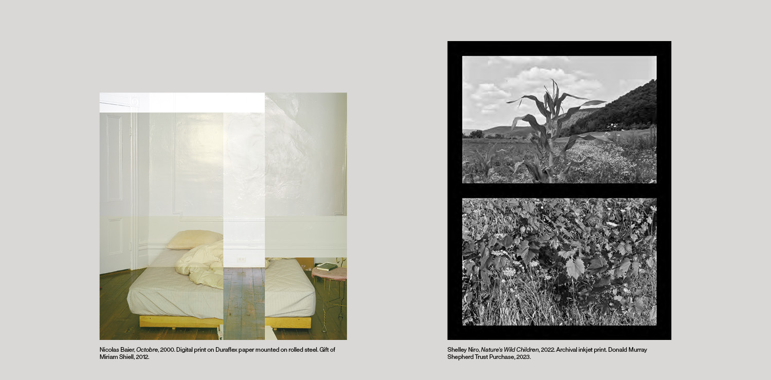 Two artworks suspended in a grey background; Nicholas Baier's Octobre, and Shelley Niro's Nature's Wild Children.
