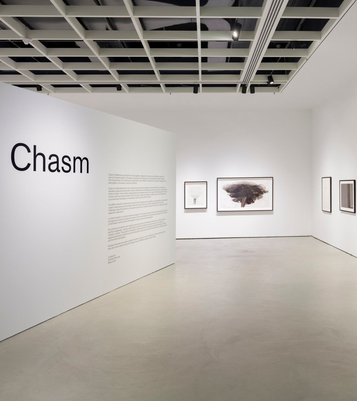 Installation view of Chasm, 2023, McMaster Museum of Art. Photo by Darren Rigo.