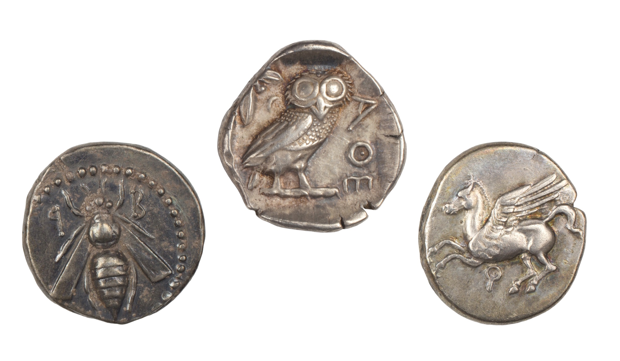 Natural Crossroads: Flora and Fauna on Ancient Mediterranean Coinage